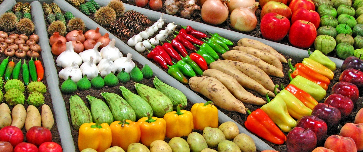 Jak dbać o zdrowie naszych dzieci czyli NUTRICIA Profutura Program