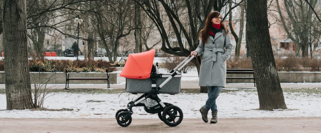 Bugaboo FOx
