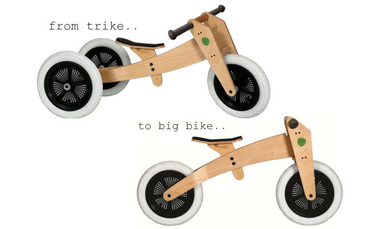 Rowerek 3w1 Wishbone