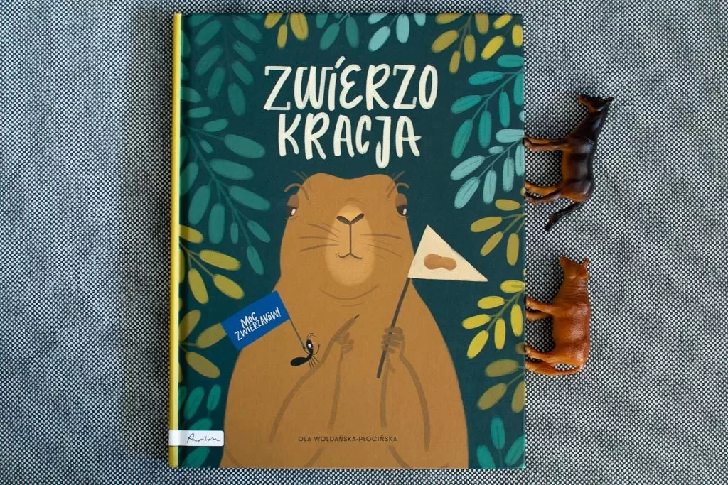 przecinek i kropka
